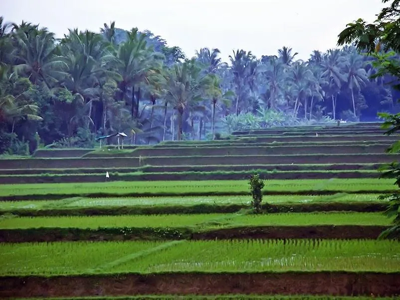 Uma Kama Villa Ubud Indonésie