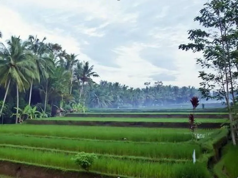 Uma Kama Villa Ubud Indonésie