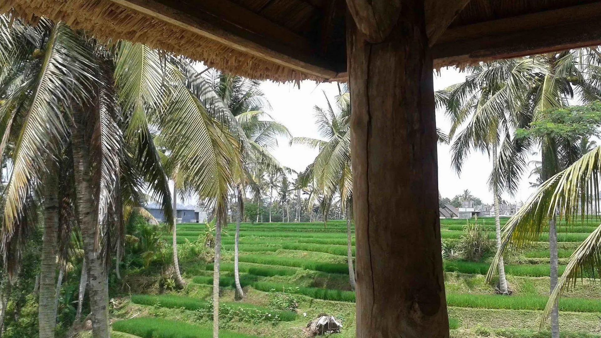 Uma Kama Villa Ubud 0*,  Indonésie